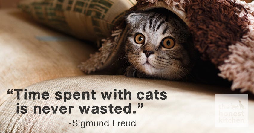 freud