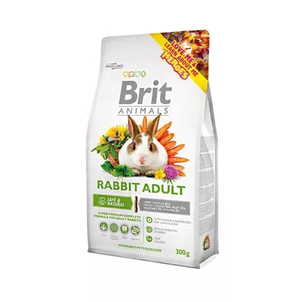 rabit