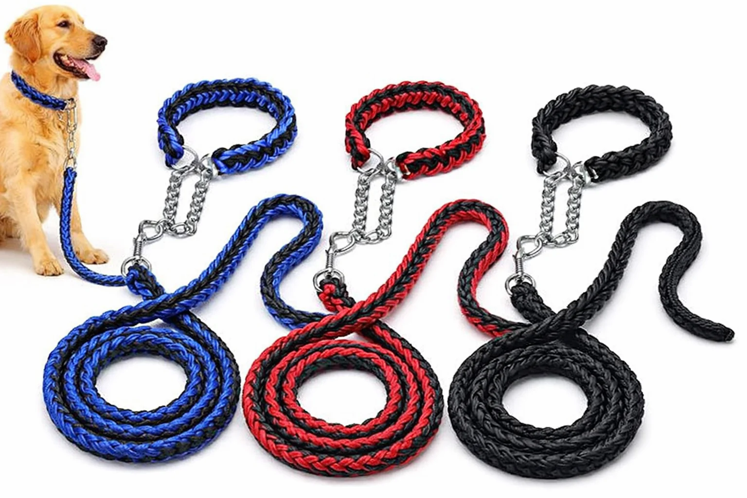 nylonbraidedleashwithcollarfordogs da63dfe7 d2f4 4c03 a04a b9a6fe44e218