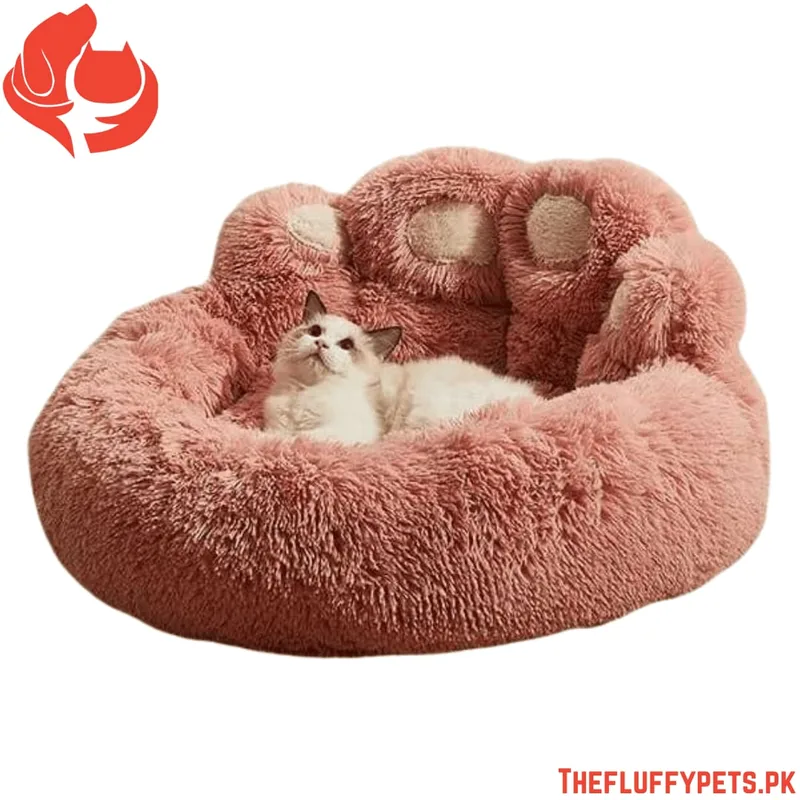 paw fur bed