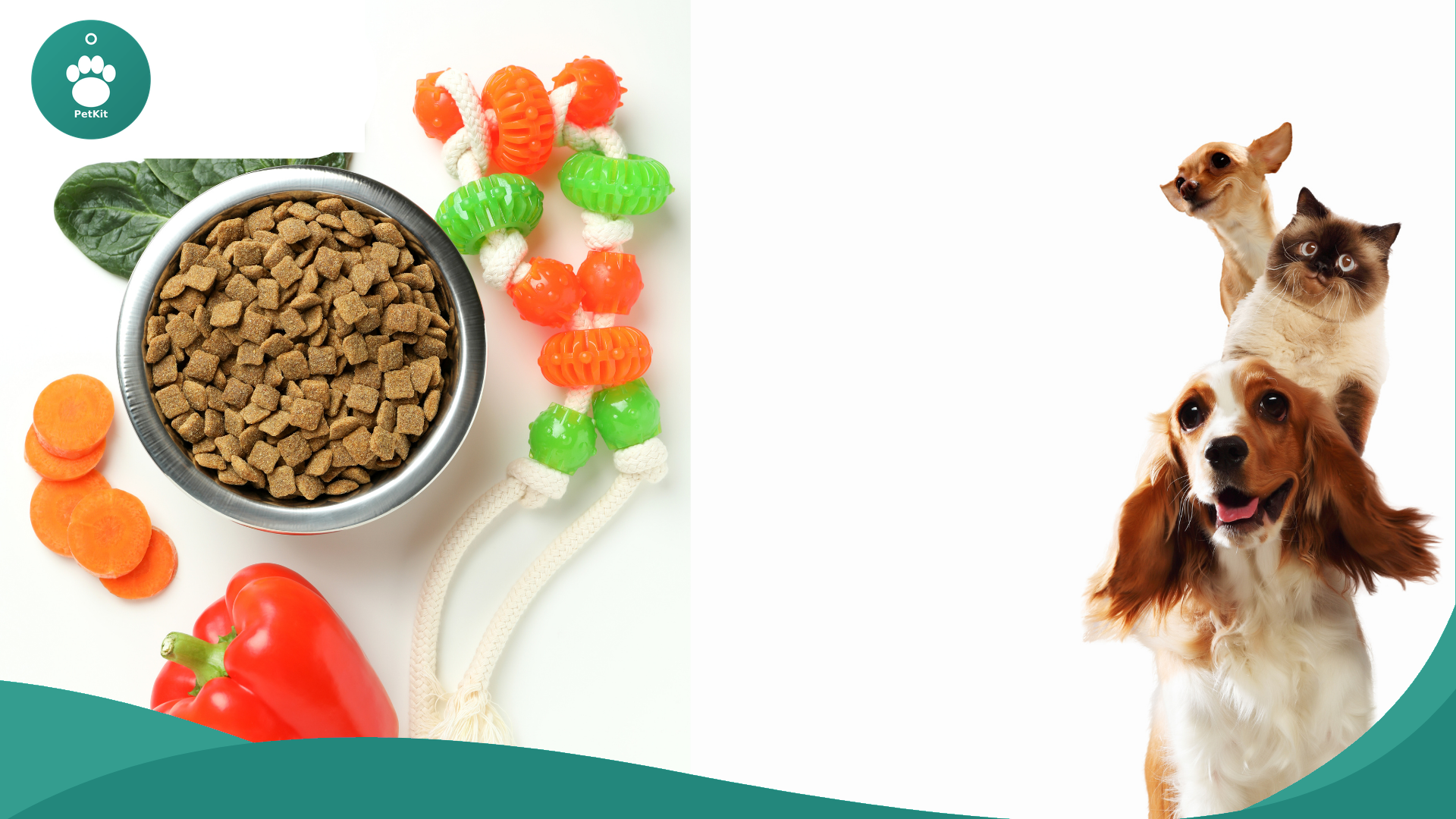 dogfood banner petkit green (1)